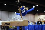 Un gymnaste au cheval d'arçon