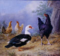 A Muscovy Duck, Cockerel and Hens by Henry Charles Bryant, c.1870