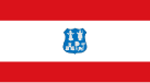 Flag of Asunción, Paraguay