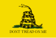 Gadsden flag of the American United Colonies