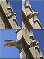 Sawatara Gargoyles Llotja de la Seda