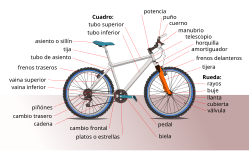 Vida cotidiana - bicicleta