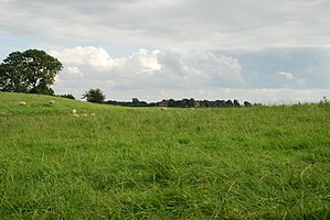 De wierde van Helwerd met over een afgegraven deel een doorkijkje naar de kerk van Rottum