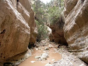 Avakas Gorge, Cyprus