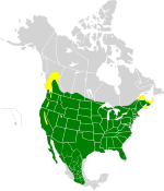 Areale del carpodaco messicano nel 2008: in verde le aree dove la specie è residente, in giallo quelle di sola riproduzione.