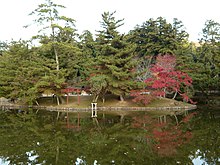 Île verdoyante au milieu d’un lac, avec un torii rouge.