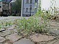 Saarbrücken, Juni 2018