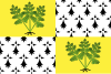 Flag of Fougères