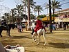 Feria del Caballo