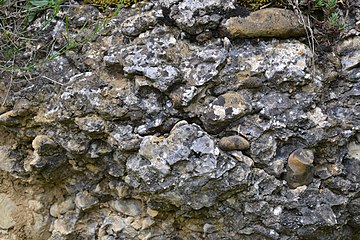 Exemple des poudingues de Palassou, piémont pyrénéen (Ariège)