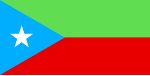 Flag of the Balochistan Liberation Army