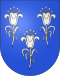 Coat of arms of Chancy