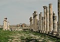 * Nomination Apamea, Syria --Bgag 00:17, 21 August 2010 (UTC) * Promotion good to me.--Jebulon 08:55, 21 August 2010 (UTC)