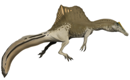 A Spinosaurus rekonstrukciója