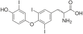 Triiodothyronine (T3), another thyroid hormone.