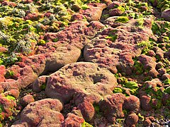 Franz Josef Land