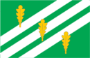 Drapeau de Commune de Sonda