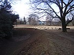 Jindaiji Castle ruins