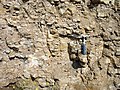 Outcrop of Ordovician oil shale, northern Estonia.