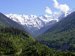 نمایی از طبیعت سوانتی