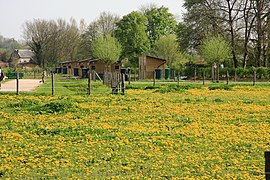 La Bassure, zone inondable proche du Crinchon.