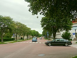 Een vrij rustige rechte straat met aan weerszijden lindebomen