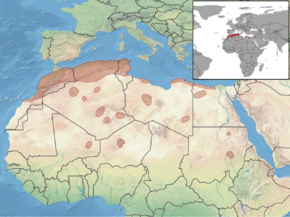 Description de l'image Gerbillus campestris distribution.png.