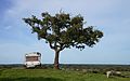 Country view near cercal do Alentejo