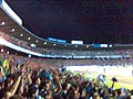 Grêmio fans