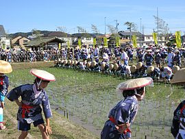 六ツ美悠紀斎田お田植えまつり