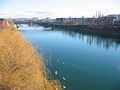 River Drava at Maribor, Slovenia