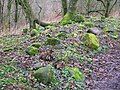 Higgin's House ruins, an old cottage once visited by Robert Burns and Richard Brown