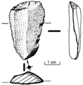 ascla laminar (taló cortical)