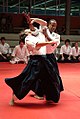 l'aikido (el aikido)