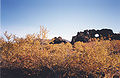 Dimmuborgir 13 mei 2007