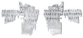 Papyrus 137