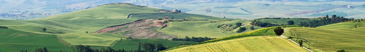 Perpétuation de la tradition agricole de la région vallonnée du Crete senesi.