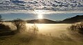 Brume sur la tourbière du Grand-Lemps