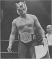 Tiger Mask