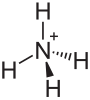 Ammonium