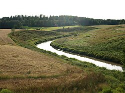 Kuusjoen alajuoksua Vaskiolla