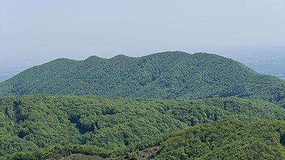 Plešivica, pogled s Japetića