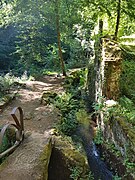 Photographie du chemin de randonnée suivant un bras mineur de la Durolle.