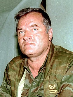 Mladić 1993-ban