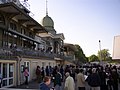 Galopprennplatz Freudenau