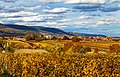 * Nomination Herbstlicher Blick von der Südpfalz bis zum Hambacher Schloß, Rheinland-Pfalz, Deutschland. --Fischer.H 15:38, 24 November 2020 (UTC) * Promotion Leaning slightly to the right side IMO. --Ermell 17:47, 24 November 2020 (UTC)  Done --Fischer.H 18:35, 24 November 2020 (UTC)  Support Good quality. --Ermell 23:09, 26 November 2020 (UTC)