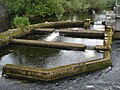 Passe à poissons, rivière Fergus.