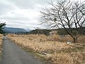 倉吉線山守駅跡