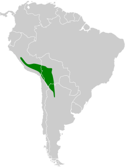 Distribución geográfica de la dormilona puneña.