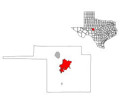 Location in the state of ٹیکساس